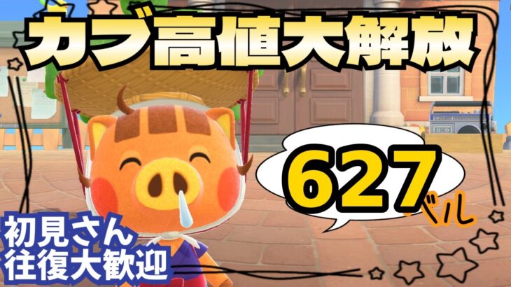 【あつ森実況】カブ価最大627ベル絶賛解放中！参加型！【初見さん歓迎！】