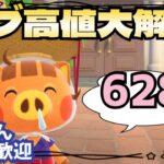 【あつ森実況】カブ価628ベル絶賛解放中！参加型！【初見さん歓迎！】