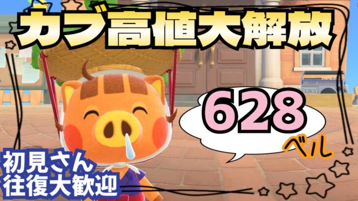 【あつ森実況】カブ価628ベル絶賛解放中！参加型！【初見さん歓迎！】