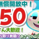 【あつ森】初見さん歓迎です　「650ベル」の島開放中！【カブ価】【あつ森 参加型】