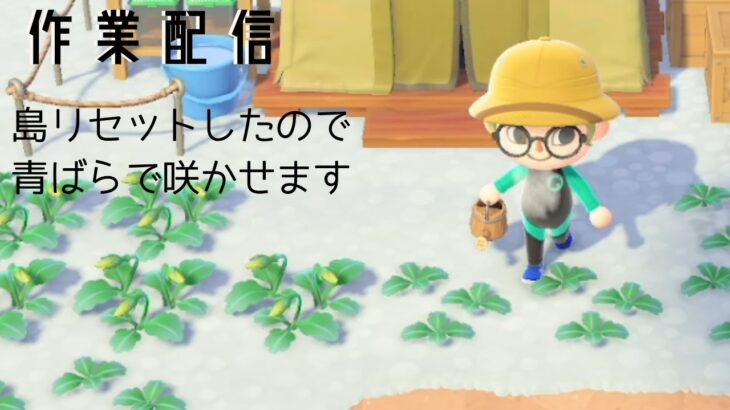 【あつ森】めっちゃやりこんでたけど、初期の何もない雰囲気味わいたくて島リセットする準備終った直後に止まってたはずのアプデが動き出して逆に時が止まった人の配信7回目