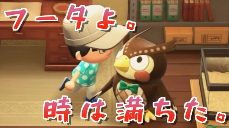 【#8】15匹集める！博物館への道！！　あつまれどうぶつの森