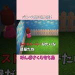 #9【あつ森】トイ・ストーリーみたいな部屋発見！…ここはどうやって楽しむの？😂