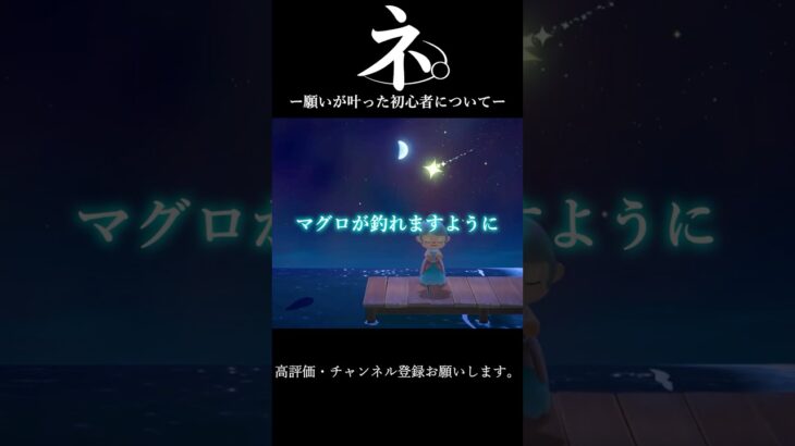 【あつ森】ーネ。願いが叶った初心者についてー(9日目)#あつ森 #あつまれどうぶつの森 #あつ森初心者