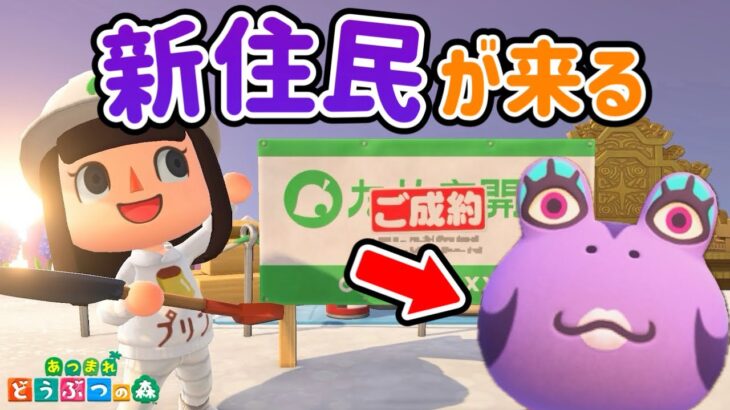 【あつ森】アイーダが来るまでのあいーだに庭を作ってあげよう！#93【あつまれどうぶつの森】