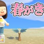 【あつ森】雪が溶けたよ #95【あつまれどうぶつの森】