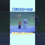 失敗した雪だるまの末路⛄️🔥 #あつ森 #ACNH #島クリ #島クリエイト #あつまれどうぶつの森