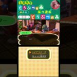 【とび森＆あつ森】バレンタインはホットチョコレート💕💕💕 #どうぶつの森 #AnimalCrossing #ACNH #Nintendo3ds #nintendoswitch2