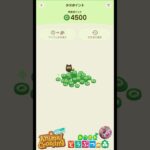 【あつ森】今日のタヌポイントは２倍でした👏ハッケミィのワンポイントアドバイスがありがたい🙏 #どうぶつの森 #AnimalCrossing #タヌポイント#NintendoSwitch2