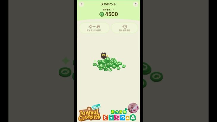 【あつ森】今日のタヌポイントは２倍でした👏ハッケミィのワンポイントアドバイスがありがたい🙏 #どうぶつの森 #AnimalCrossing #タヌポイント#NintendoSwitch2