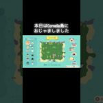 ゆめみの旅～Cornelia島編～ #あつ森 #あつまれどうぶつの森 #あつ森好きな人と繋がりたい #animalcrossing #ゆめみの旅 #おかめなっ島 #acnh #cornelia島