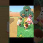 ツクツクホウシ初GET！【あつ森】