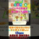 【#あつ森 】人気住民のパッチ君のお写真GETしてみた #shorts