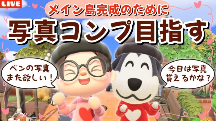 【あつ森】今日こそは住民の写真コンプしたい！アプデを楽しみながら島完成を目指すLIVE配信【あつまれ どうぶつの森】