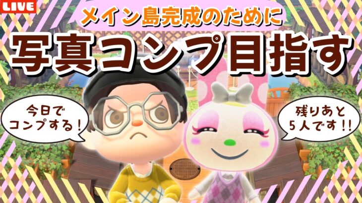 【あつ森】更新来た！？今日で写真コンプ目指す！アプデを楽しみながら島完成を目指すLIVE配信【あつまれ どうぶつの森】