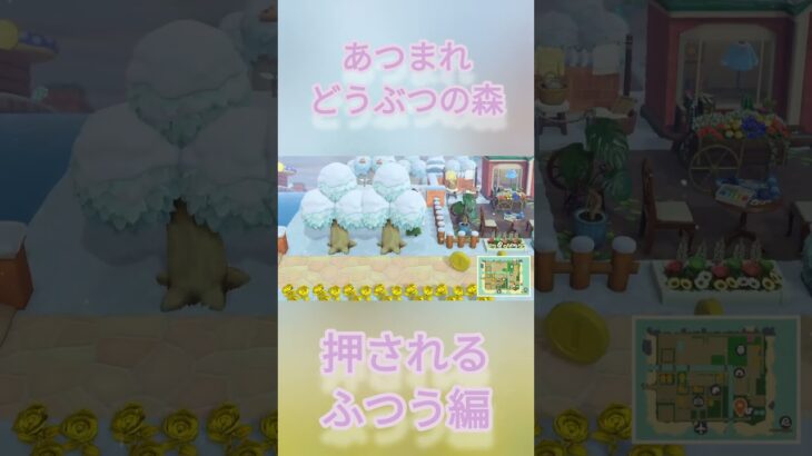 NSあつ森#16　押した時の住民性格セリフ集・ふつう編[RIKO]#shorts