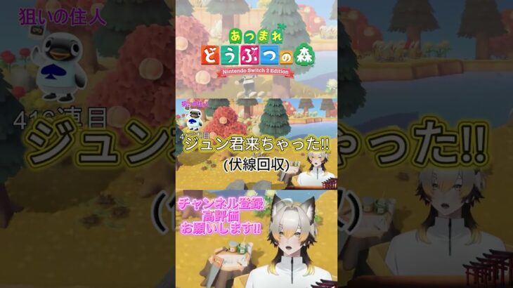 さすが住民人気No.1ですわ… #vtuber #あつ森 #あつまれどうぶつの森 #ショート
