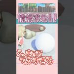 こんなデカいの初めて見た【あつ森】 #Shorts #あつ森