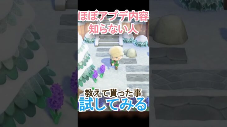 アプデ島クリやっと理解できた!!【あつ森】 #Shorts #あつ森
