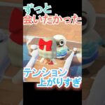 やっと会えた…！【あつ森】 #Shorts #あつ森