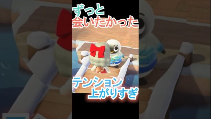 やっと会えた…！【あつ森】 #Shorts #あつ森