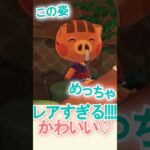 ウリちゃんのレアな姿見れた!!【あつ森】 #Shorts #あつ森