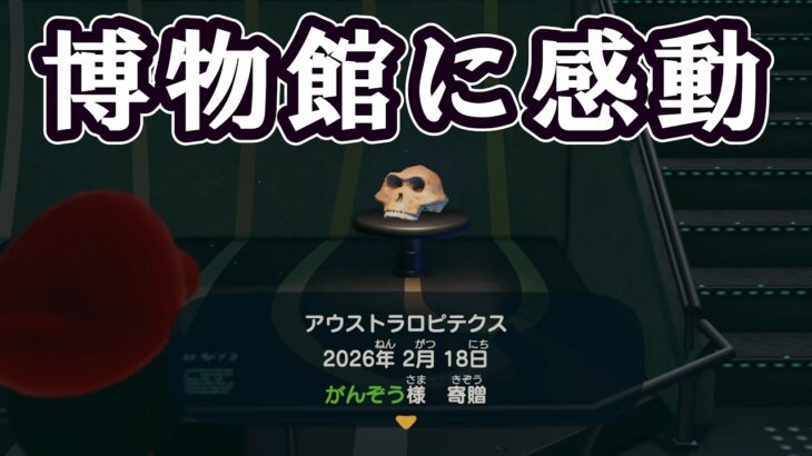 【あつまれどうぶつの森】何もないけど博物館に感動して語彙を失う【Switch2】