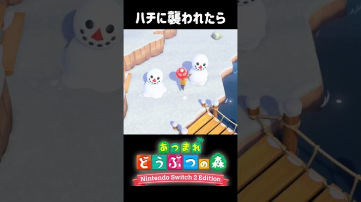 ハチに追いかけられても安心安全！【あつ森】【Switch2Edition】【ACNH】【あつまれどうぶつの森】#shorts #あつ森