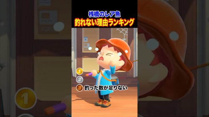 【あつ森】桟橋レア魚が釣れない理由ランキングTOP3【陰謀論】#あつ森 #あつまれどうぶつの森 #acnh   #釣り #シイラ