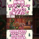 動物園の飼育部屋風🐨VIP様 #あつ森 #あつまれどうぶつの森