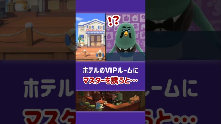 【あつ森】マスターをホテルのVIPルームに誘うと……【小ネタ】【あつまれ どうぶつの森】【Ver.3.0／Nintendo Switch 2 Edition】#あつ森 #あつまれどうぶつの森