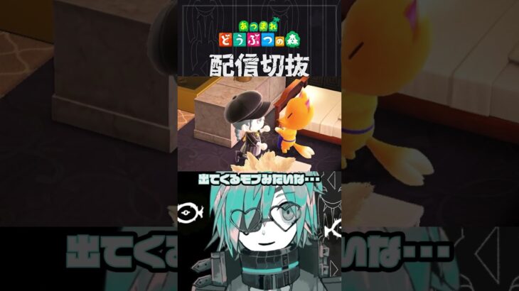 【あつ森】毎日VIPルームに呼んだら実質うちの島の住民　 #個人vtuber  #配信切り抜き #切り抜き動画 #あつまれどうぶつの森