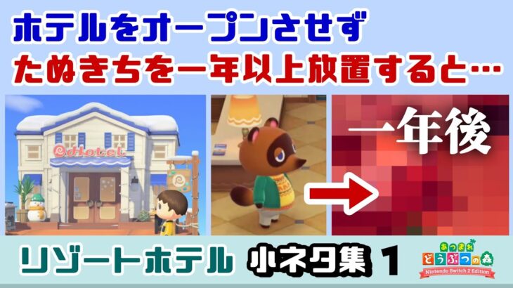 【あつ森】ホテルをオープンさせず、たぬきちを一年以上放置すると……可哀想なことに！？「リゾートホテル」に隠れた細かすぎる小ネタ集！【あつまれ どうぶつの森】【Ver.3.0】@レウンGameTV
