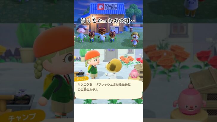 かつての住民たち #あつ森 #あつまれどうぶつの森 #ショート #ゲーム #acnh #animalcrossing #どうぶつの森 #animalcrossingnewhorizons