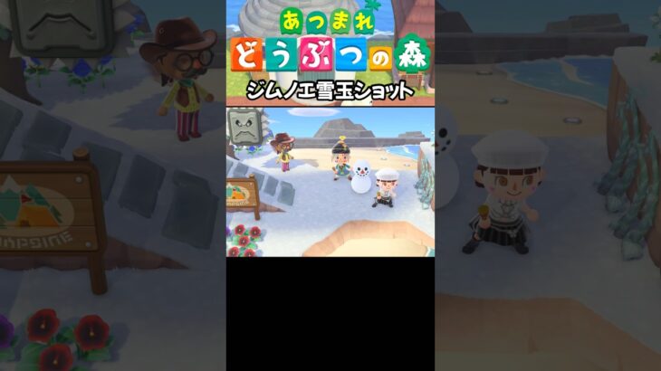 【あつ森】ジムノエ雪玉ショット #acnh #animalcrossing #あつ森 #あつまれどうぶつの森 #あつ森vlog