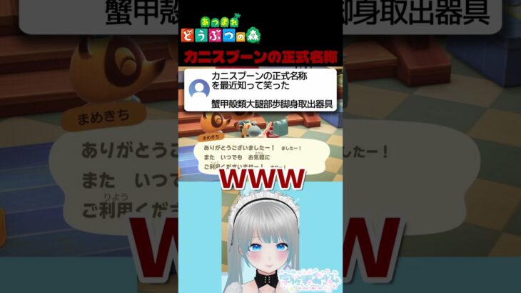 みんなは読める？ #acnh #shorts #あつ森 #あつ森vtuber