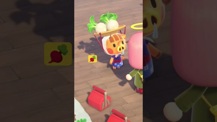 #あつ森 #任天堂 #あつまれどうぶつの森 #animal #animalcrossingnewhorizons 　#switch  ウリちゃんから買いました🫜