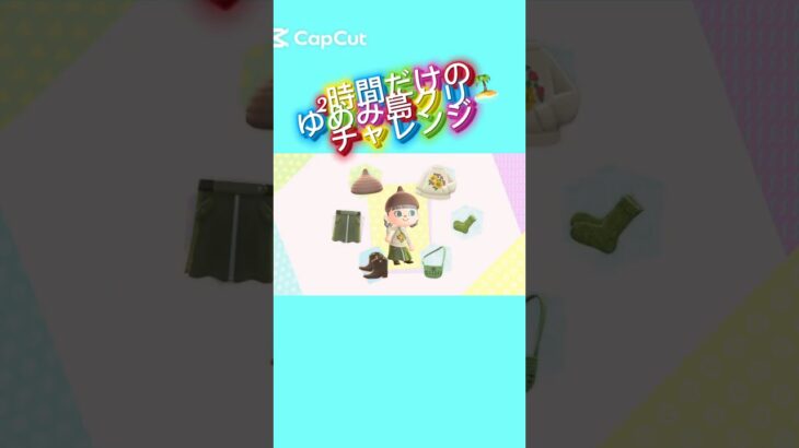 【#あつ森 #animalcrossing (