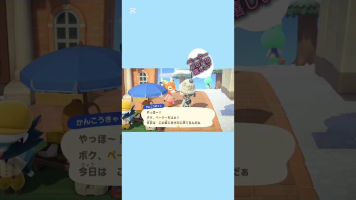 【#あつ森 #animalcrossing 】