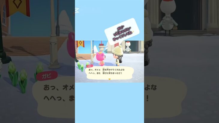 【#あつ森 #animalcrossing 】