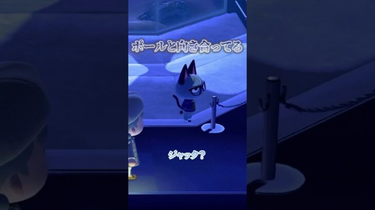 ジャック編集ミスをしたんだごめん #あつ森 #あつまれどうぶつの森 #animalcrossing #バレンタイン