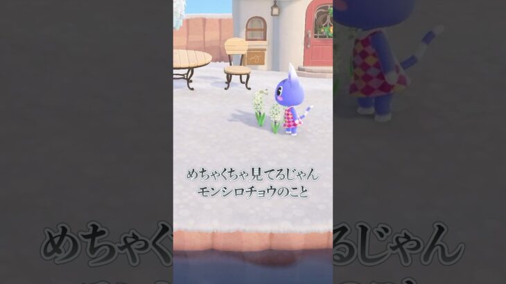 今度こそはディノニクスとモンシロチョウを！ #あつ森 #あつまれどうぶつの森 #animalcrossing