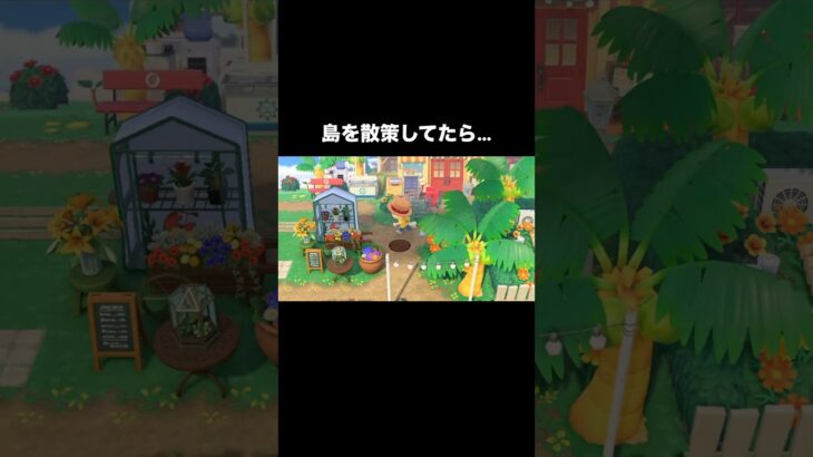 なんか、ごめん🥺 #あつ森 #あつまれどうぶつの森 #あつ森好きな人と繋がりたい #animalcrossing #おかめなっ島 #acnh #comedy #accident #shorts