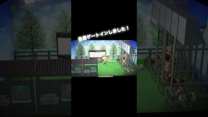 ここは競馬場❓ #あつ森 #あつまれどうぶつの森 #あつ森好きな人と繋がりたい #animalcrossing #ゆめみ #おかめなっ島 #acnh #競馬場 #馬 #g1 #comedy #レース