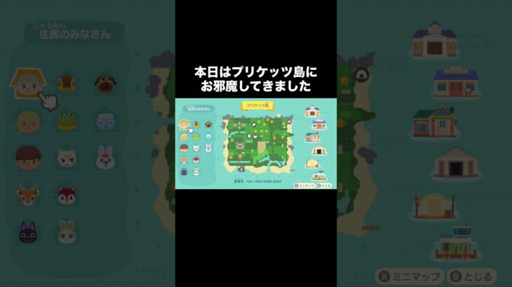 ゆめみの旅～プリケッツ島編～ #あつ森 #あつまれどうぶつの森 #あつ森好きな人と繋がりたい #animalcrossing #ゆめみ #おかめなっ島 #acnh #shorts #プリケッツ島