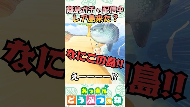 これはレア島？有意義者教えてください！【あつ森】#あつ森 #あつまれどうぶつの森 #どうぶつの森 #離島 #animalcrossing #shorts