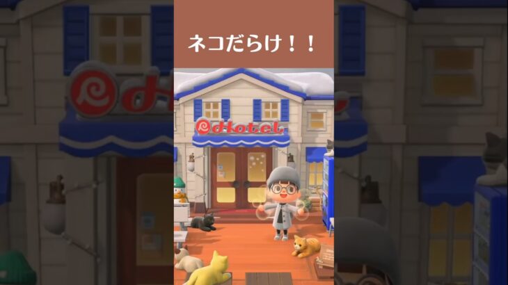 【あつ森】ホテル前をネコだらけに！ねこのぬいぐるみを使ったホテル前レイアウト #あつ森 #あつまれどうぶつの森 #animalcrossingnewhorizons #acnh