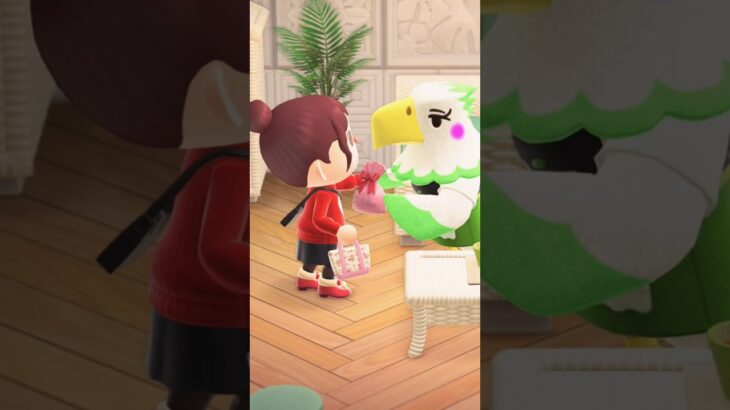 バレンタインの日💝 #あつ森 #あつまれどうぶつの森 #animalcrossingnewhorizons #animalcrossing  #shorts