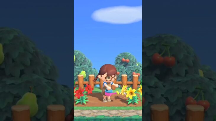 あか！きいろ！まぜたら何色なるかな( ᐛ )？#colormixing #あつ森#花の配合#花#Switch#shorts #short