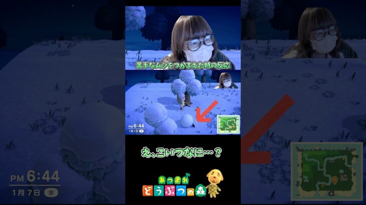 【あつ森】苦手なムシを採集するときあるある。これはまだ序の口…。  #あつ森  #あつまれどうぶつの森  #あるある  #実況  #japan  #shorts